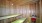 a sauna room with seating and wood walls